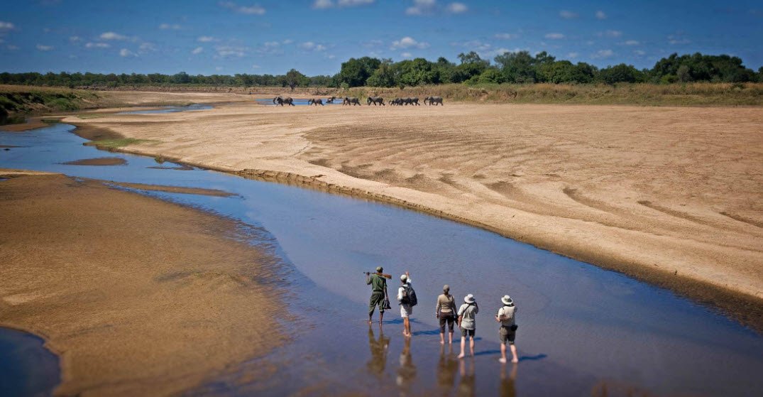 South Luangwa National Park, Eastern Province (Mfuwe), Zambia